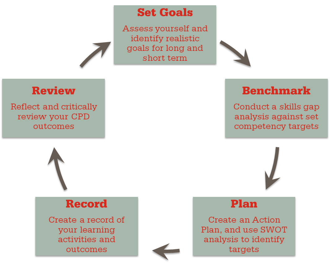 CPD Audit stages