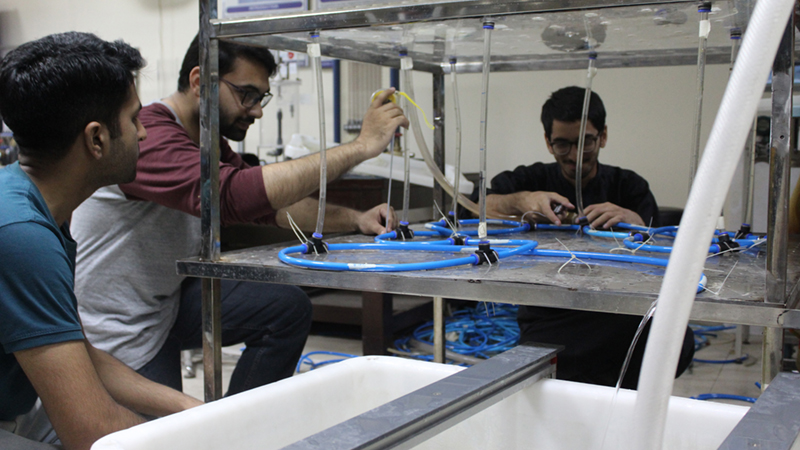 A team making final checks on their piping network