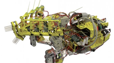 Researchers adapt animal behaviour and features for some robotics Inspired by nature