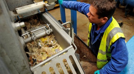 Model biomass burning plant: Output from Widnes is energy Article image