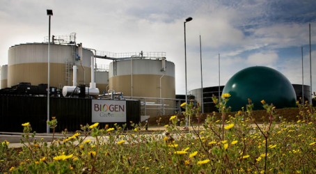 Biogen Greenfinch is using 10-12% of the energy in running the plant Article image