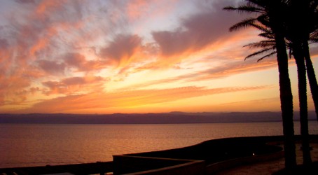 Stress matters: Employees find it hard to switch off on holiday Article image