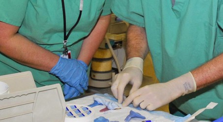 Beth Roscoe and Dr Philip Stoddard examine dental impressions Article image