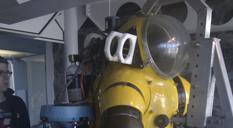 The large yellow “Newt suit” is popular with visitors Article image