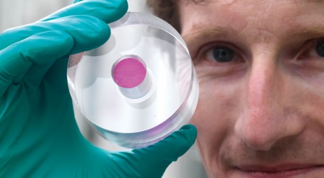 Beyond rubies: Oxborrow with the pentacene-doped p-terphenyl crystal Article image